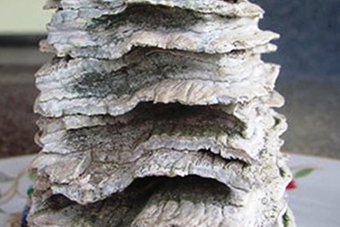 Phát hiện khối đá lạ, có "đại gia" trả 200 triệu