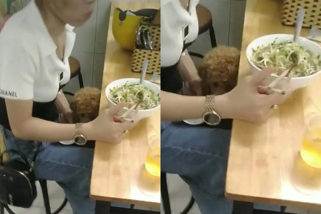 Để thú cưng phóng uế ở khu vui chơi trẻ em, cô gái cãi: Chó cũng như trẻ - 3 Để thú cưng phóng uế ở khu vui chơi trẻ em, cô gái cãi: Chó cũng như trẻ - 3