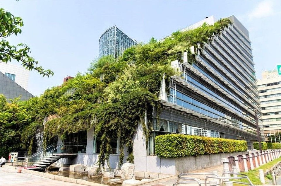 Phù phép biến tòa nhà bê tông thành ngọn núi xanh giữa phố - 2 Phù phép biến tòa nhà bê tông thành ngọn núi xanh giữa phố - 2
