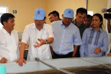 Bỏ túi gần 2 tỉ đồng mỗi lứa tôm thẻ chân trắng