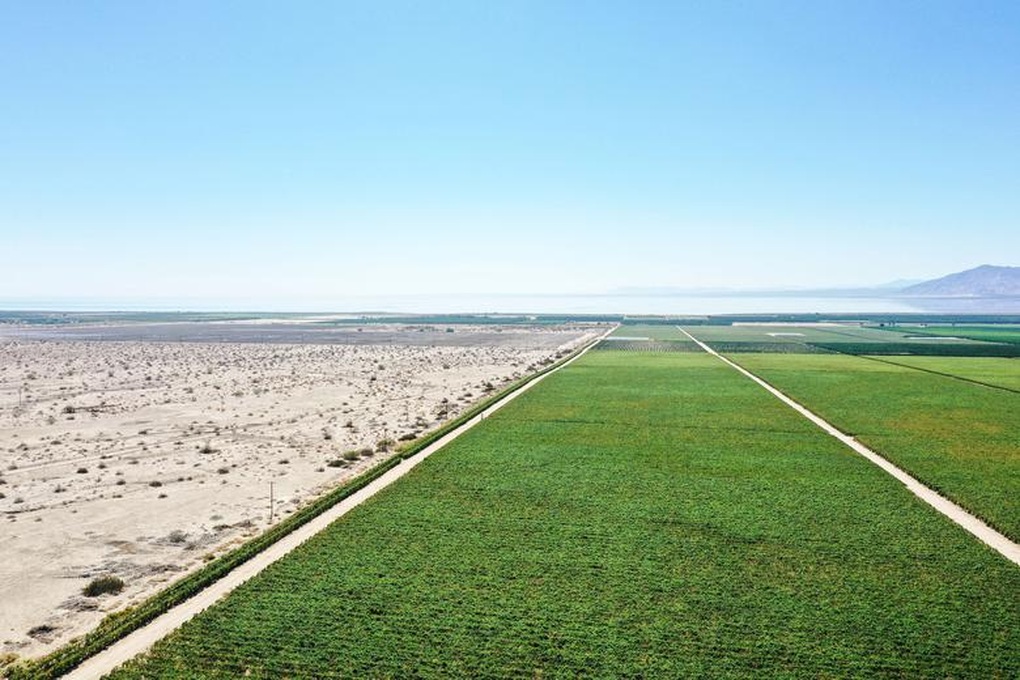 California đối mặt tình trạng sa mạc hóa sau nhiều năm hạn hán - 1 California đối mặt tình trạng sa mạc hóa sau nhiều năm hạn hán - 1