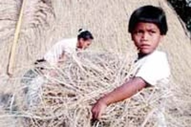 Búp bê bằng rơm 