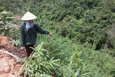 Lạng Sơn: Không thu hồi sổ xanh vẫn làm sổ đỏ và lời kêu cứu của người dân