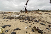 Bãi biển ở vịnh đẹp nhất thế giới hoang tàn, nhếch nhác