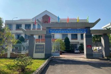 Xác minh vụ một trưởng phòng bứng trộm cây hoa giấy