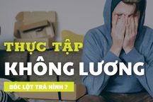 "Thực tập không lương" hay một hình thức bóc lột sức lao động trá hình?