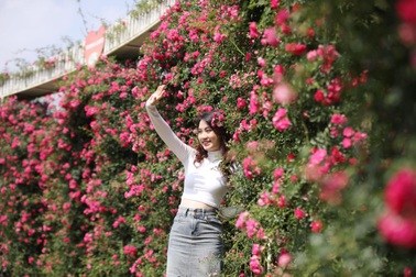 Mãn nhãn với hàng nghìn đóa hồng trong lễ hội hoa hồng Sa Pa