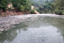 Vi phạm xả thải, Công ty Hapaco Đông Bắc bị phạt gần 1,2 tỷ đồng