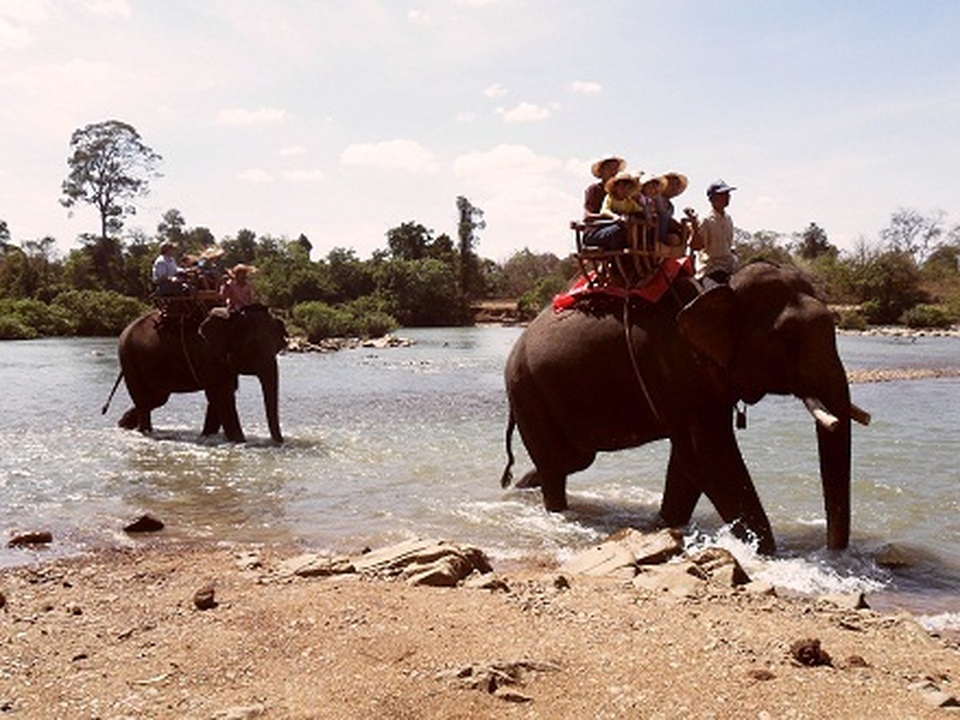 Nữ du khách gãy 4 xương sườn, gãy tay khi cưỡi voi ở Tây Nguyên - 1 Nữ du khách gãy 4 xương sườn, gãy tay khi cưỡi voi ở Tây Nguyên - 1