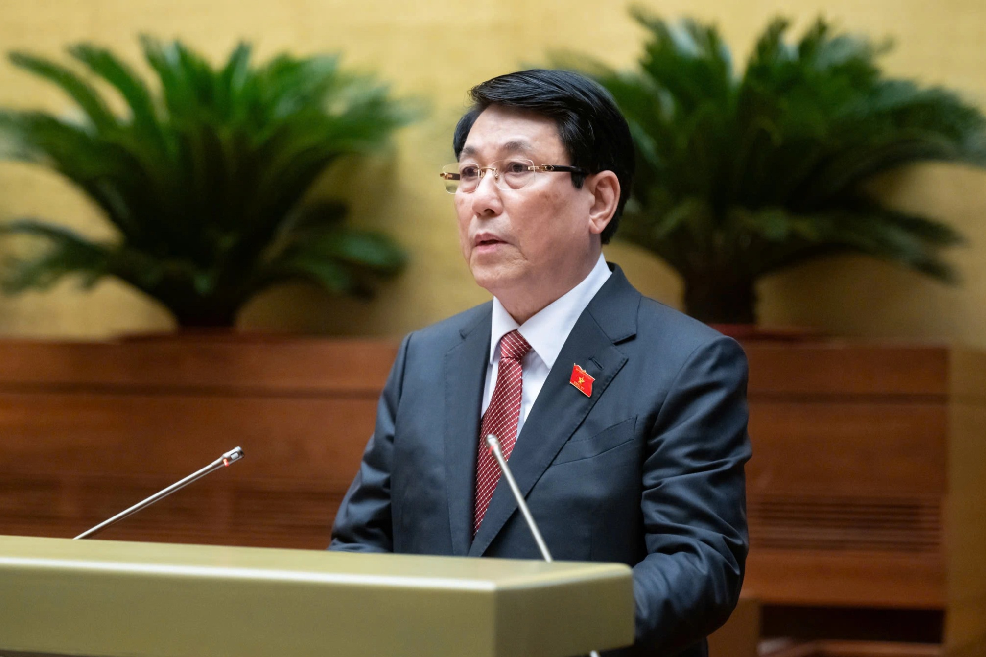 Neuer Präsident: Ich träume absolut nicht davon, dieses Niveau oder jene Position zu erreichen - 1 Tân Chủ tịch nước: Tôi tuyệt nhiên không mơ làm đến cấp này, chức kia - 1