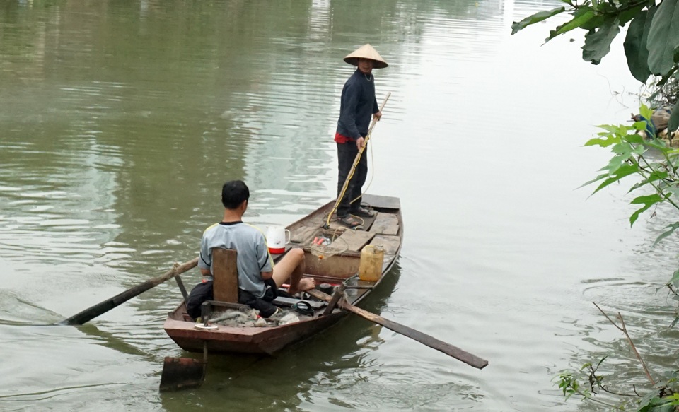 Cận cảnh cá chép Táo quân chưa kịp lên chầu trời đã bị... dí điện - 6 Cận cảnh cá chép Táo quân chưa kịp lên chầu trời đã bị... dí điện - 6