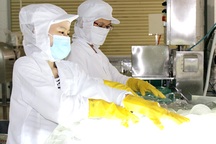 Đồng Nai sẽ khởi kiện một số doanh nghiệp nợ bảo hiểm xã hội