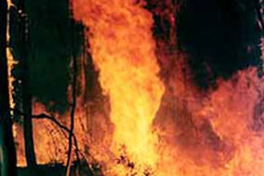 Australia hạn hán khốc liệt nhất trong vòng một thế kỷ qua