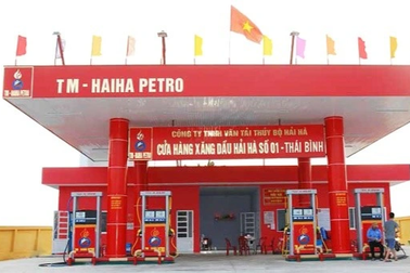 Vì sao Hải Hà Petro bị chuyển hồ sơ sai phạm sang Bộ Công an?