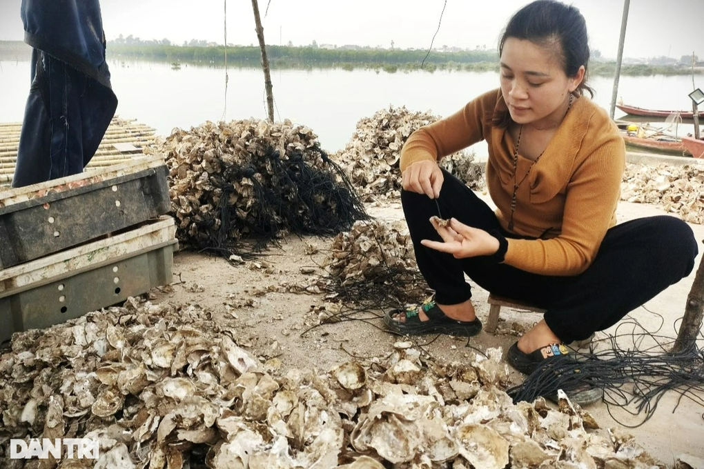 Lo sốt vó với loài tăng cường sinh lực, từng cho thu nhập gây choáng - 1 Lo sốt vó với loài tăng cường sinh lực, từng cho thu nhập gây choáng - 1