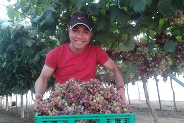 Cơ hội việc làm ở nước ngoài cho sinh viên khối Nông lâm nghiệp