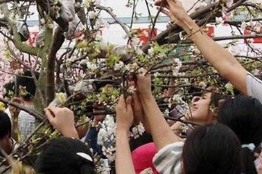 Thiếu tự trọng và thiếu văn hóa ngày càng trầm kha