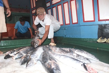 Ngư dân trúng đậm cá, thu về gần 400 triệu đồng