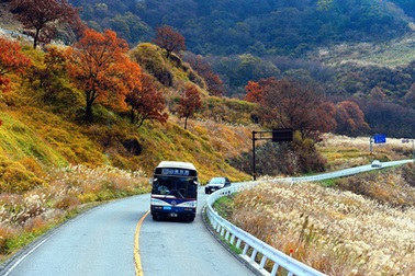 Sức hút "khó cưỡng" của thiên đường suối nước nóng Kyushu