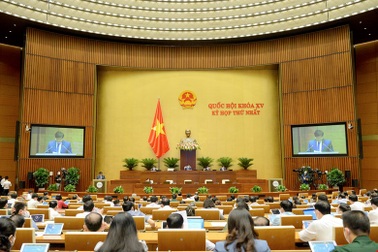 "Biện pháp khẩn cấp chống dịch nên có thời hạn, có thể đến cuối năm 2022"