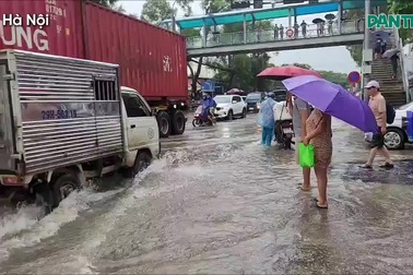 Hà Nội: 10 tiếng khốn khổ sống trong ngập lụt của "xóm ung thư"