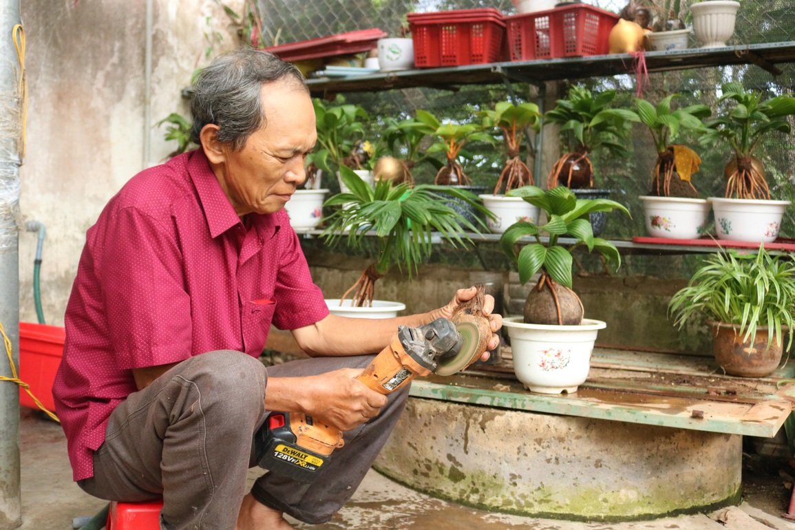 Lão nông hô biến dừa khô thành cây cảnh trị giá tiền triệu - 4 Lão nông hô biến dừa khô thành cây cảnh trị giá tiền triệu - 4