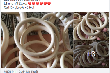 Vi phạm liên quan đến động vật hoang dã trên không gian mạng gia tăng