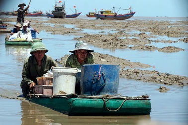 Ngư dân mướt mồ hôi lội bùn "đẩy cạn" giữa trưa nắng