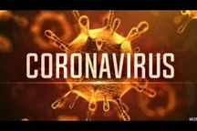 Độc tính của Covid-19 (nCoV) không mạnh hơn SARS-CoV