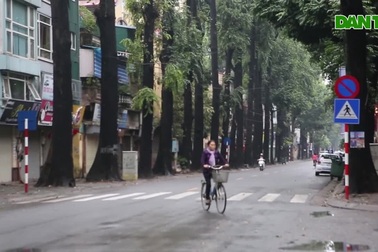 Buổi sáng mùng 1 năm Canh Tý trong lành sau cơn mưa