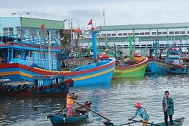 Tàu đi tránh bão, bị sóng đánh chìm