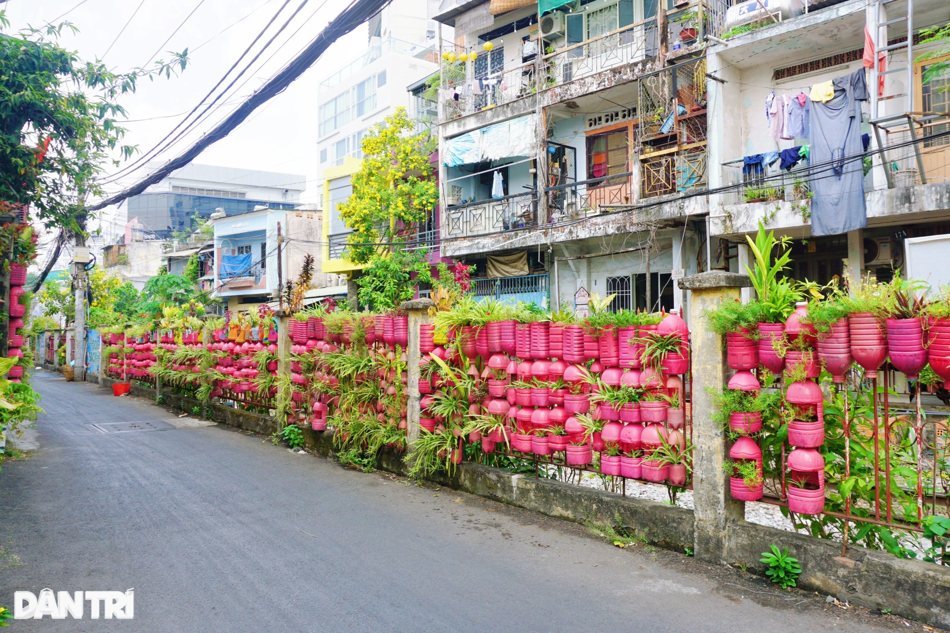 Người đàn ông ở TPHCM nhuộm hồng tổ ấm bằng hàng trăm chai nhựa - 14 Người đàn ông ở TPHCM nhuộm hồng tổ ấm bằng hàng trăm chai nhựa - 14