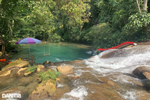 Tháo dỡ công trình, dừng hoạt động du lịch trái phép giữa rừng phòng hộ