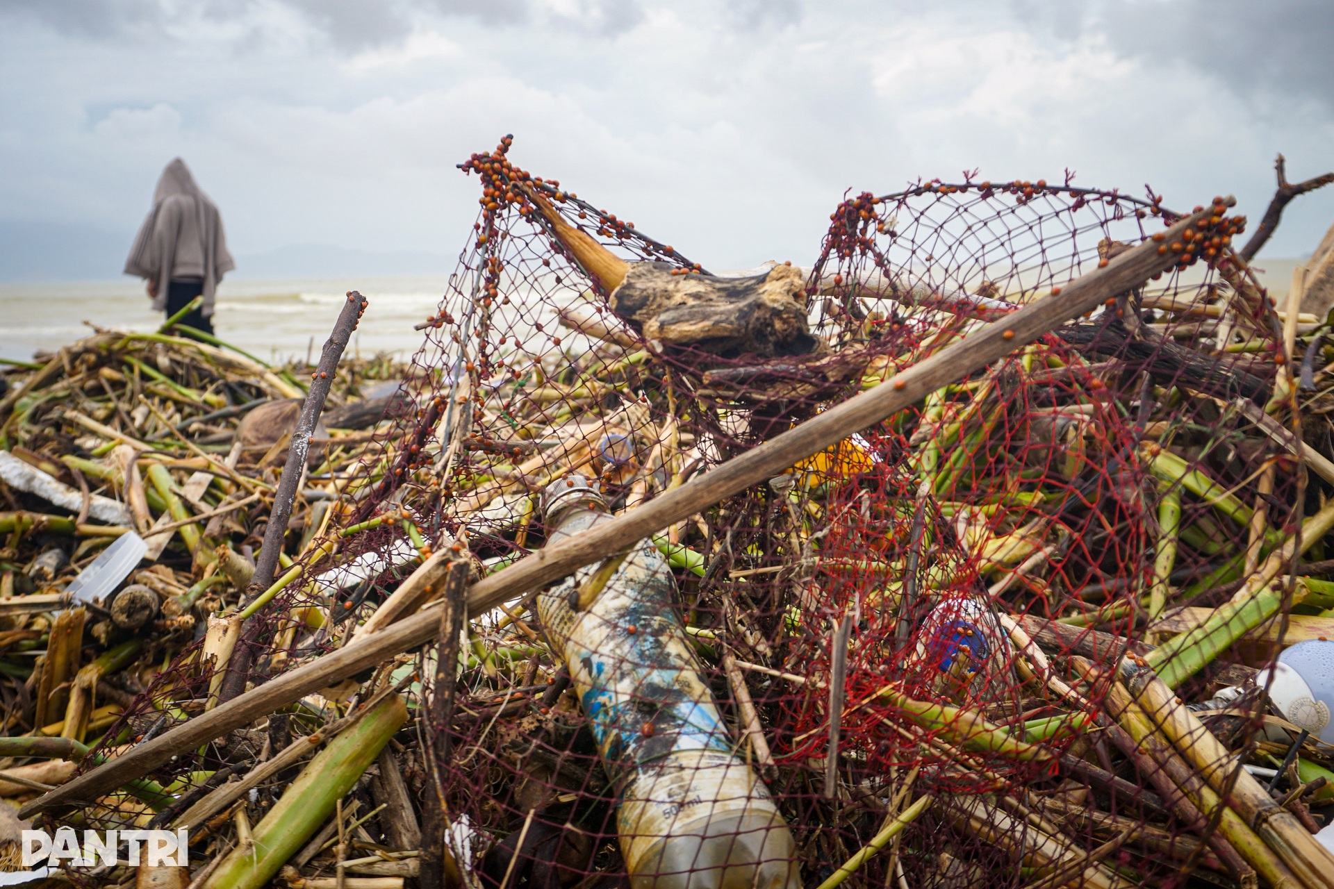 Hình ảnh bờ biển Đà Nẵng khác lạ sau mưa lũ - 7