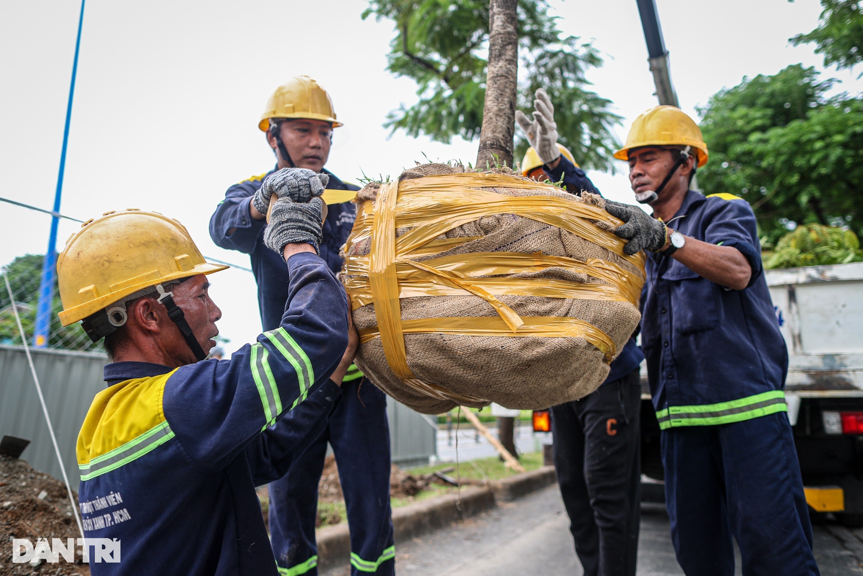 View - Bắt đầu dời cây, thi công mở rộng 8km đại lộ Võ Văn Kiệt ở TPHCM | Báo Dân trí