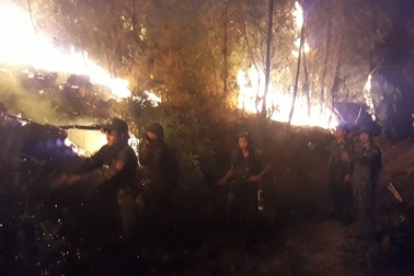 Gần 3.000 người trắng đêm dập lửa cứu rừng thông cổ thụ