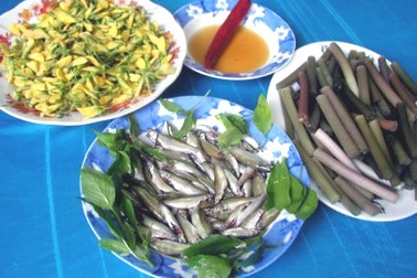 Mùa nước nổi - Mùa cá linh về tại ĐBSCL