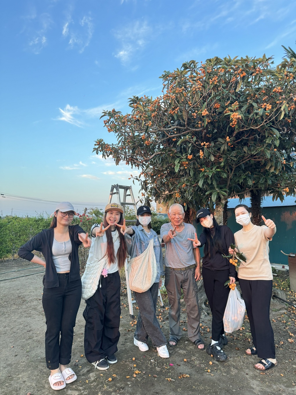 Khen cây nhót sai quả, lao động Việt ở Nhật sững sờ vì chủ nhà chặt cây - 3