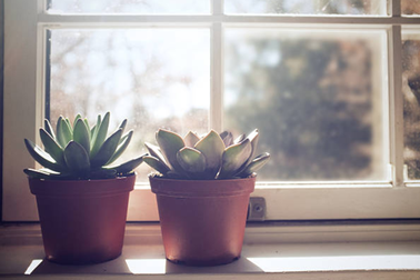 Và ta đã lớn đủ để mong mình bé lại