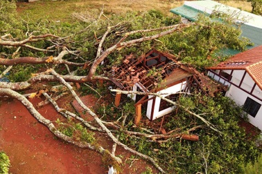 Cây đa di sản hơn 200 tuổi đổ gục sau cơn mưa lớn