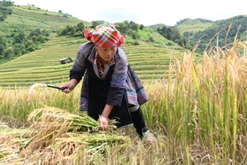 Cách làm sáng tạo nâng cao nhận thức về bình đẳng giới của phụ nữ miền núi