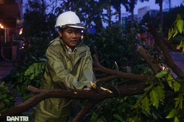 Đường phố Đà Nẵng ngổn ngang, cây xanh ngã đổ la liệt sau bão