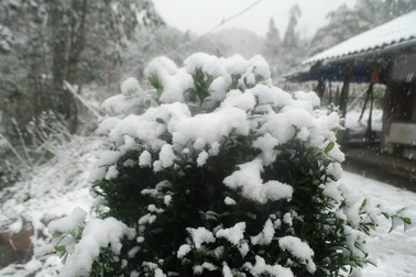 Đỉnh Fansipan có thể đón mưa tuyết dịp Tết Dương lịch