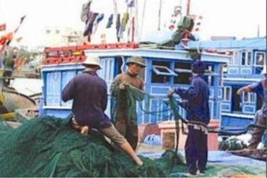 Ăn Tết trên biển, ngư dân trúng đậm 