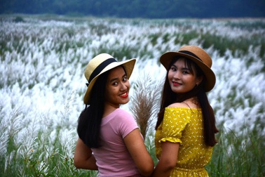 Quảng Ngãi: Cánh đồng hoa lau trắng như mây giữa dòng Trà Khúc