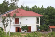 Dãy biệt thự “mọc” trên đất rừng: Thu hồi toàn bộ đất giao cho doanh nghiệp