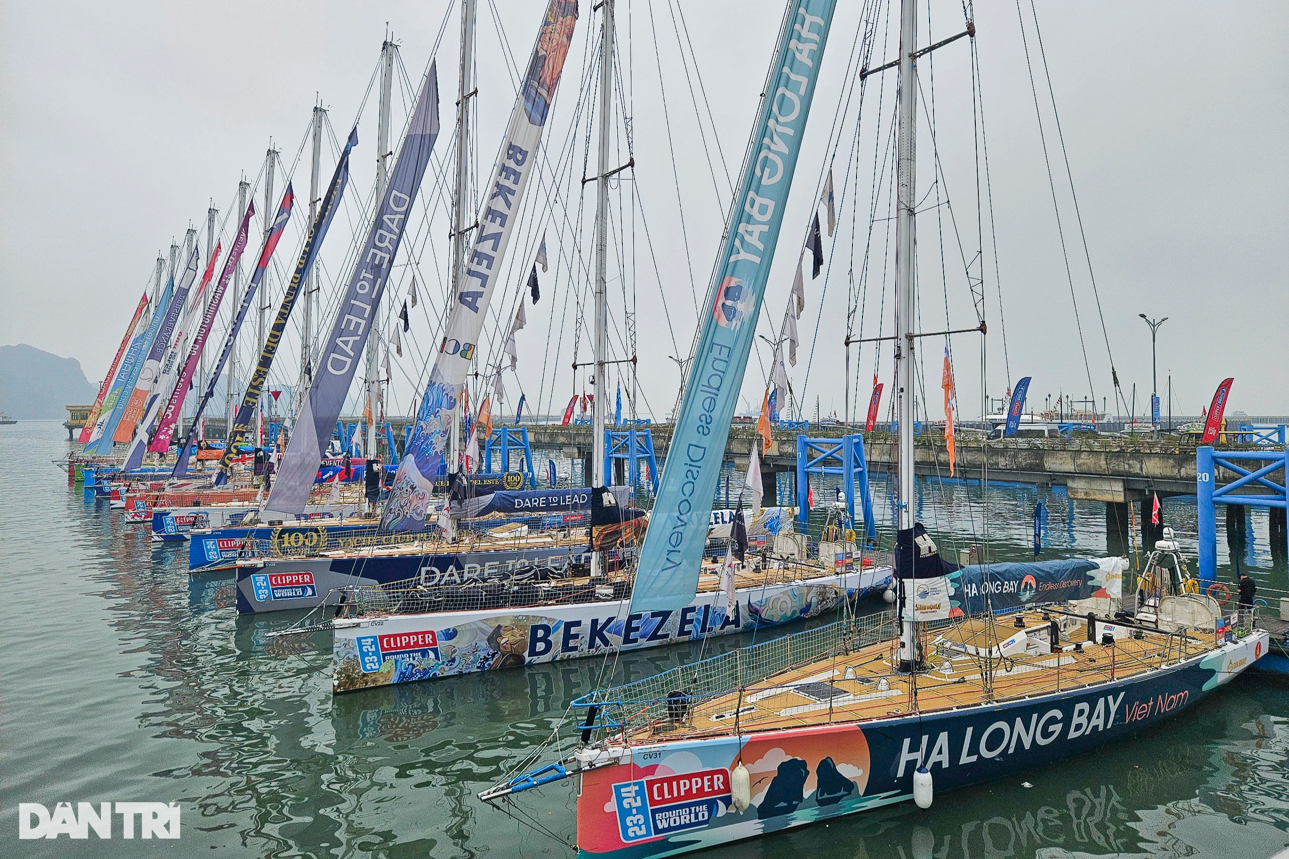 Quảng Ninh chào đón 11 đội đua thuyền vượt đại dương đến Hạ Long - 2