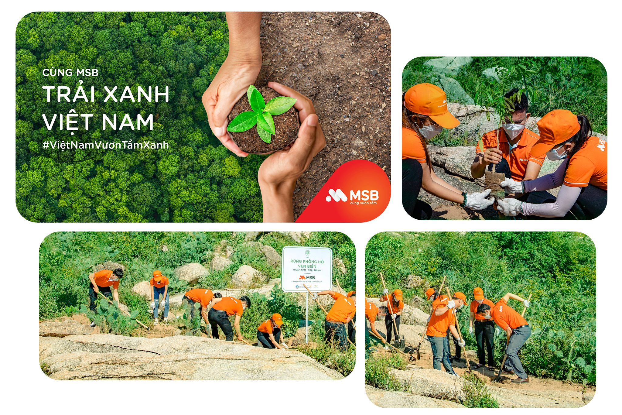 Giới trẻ Việt và hành trình trải xanh Việt Nam - 11 Giới trẻ Việt và hành trình trải xanh Việt Nam - 11