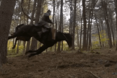 "Bom tấn" cổ trang Hàn Quốc dừng quay vì bị lên án ngược đãi động vật