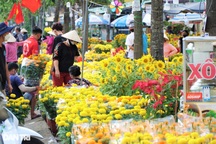Chợ hoa Tết nhộn nhịp, tiểu thương ở Cần Thơ phấn khởi vì hết hàng sớm